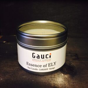 Essence of ELY