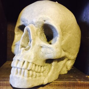 Gauci SKULL Candle  Gray